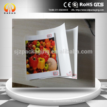 210micron Matte,Super White,Front Print Polyester Backlit film,white Pet Film